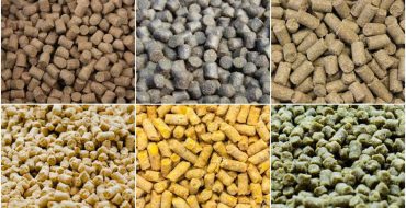 Proceso de peletización para biocombustibles y soluciones industriales sostenibles