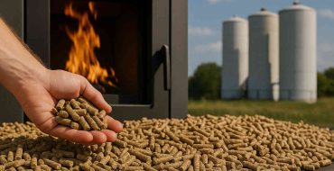 Central de biomasa en funcionamiento como alternativa energética sostenible en España